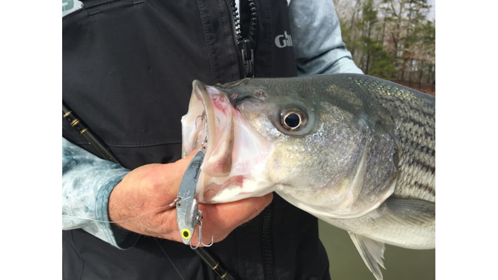 SteelShad XL Bait, 3/4 Oz, Silver/Chrome, SSL-10012