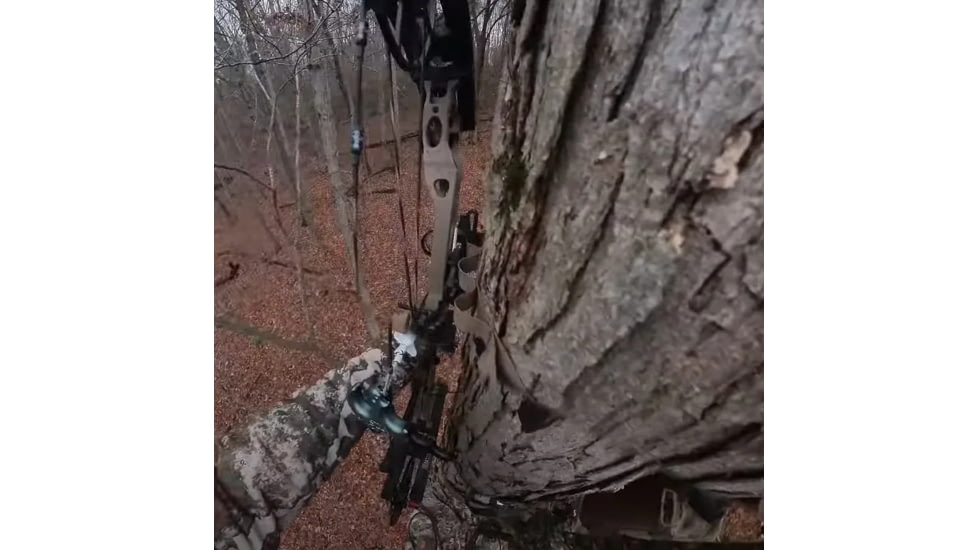 Tethrd Quick Draw Bow Hook