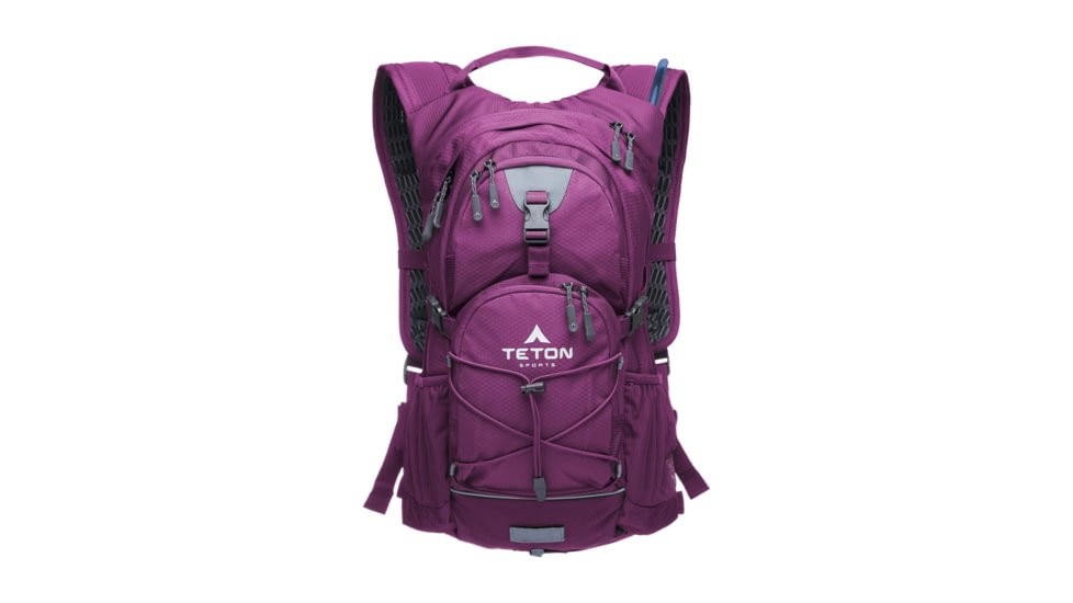 TETON Sports Oasis 18L Hydration Pack with 2L Bladder, Plum, 2101SCPL