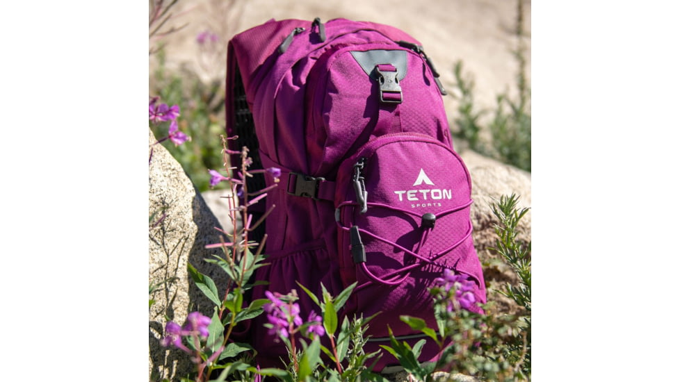 TETON Sports Oasis 18L Hydration Pack with 2L Bladder, Plum, 2101SCPL