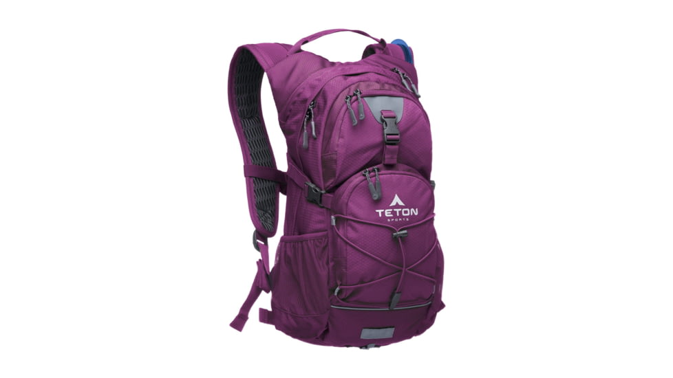 TETON Sports Oasis 18L Hydration Pack with 2L Bladder, Plum, 2101SCPL