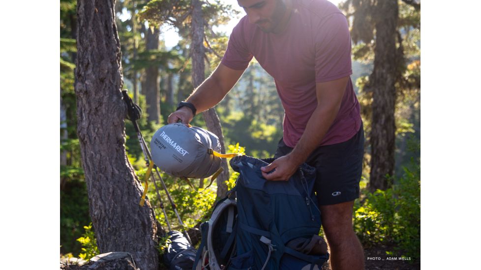 Therm-a-Rest Questar 20F/-6C Sleeping Bag, Small, Balsam, 13155