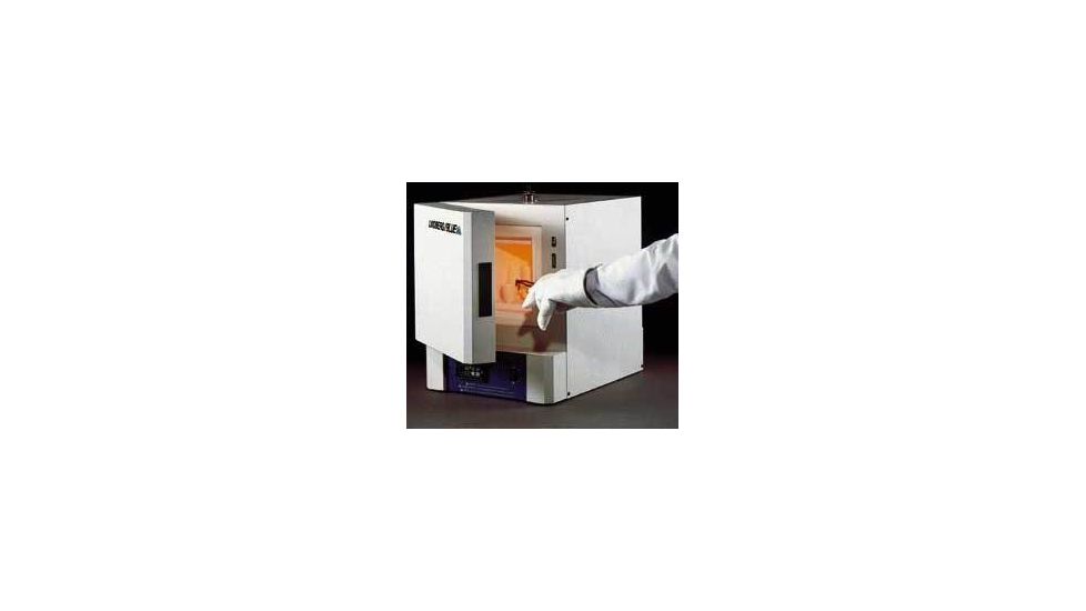 Thermo Fisher Scientific Lindberg/Blue M Furnaces100 C, Each, Thermo Fisher Scientific Scientific Furnaces With Micro Single Setpoint Controller, BF51794C