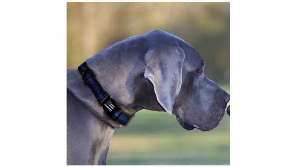 Thin Blue Line Dog Collar, Thin Blue Line - TBL-BB-CR-LARGE