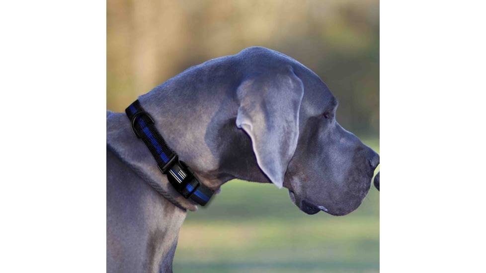 Thin Blue Line Dog Collar, Thin Blue Line - TBL-BB-CR-MEDIUM