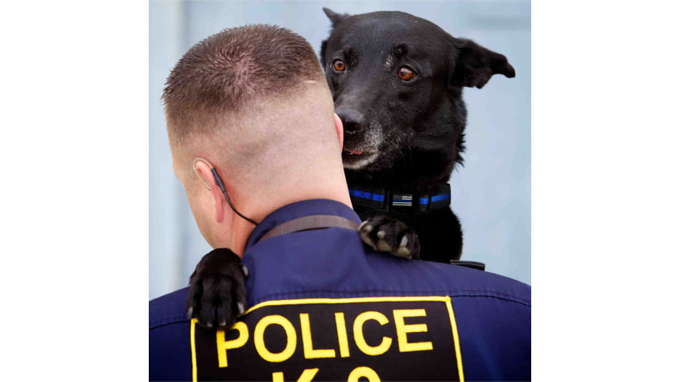 Thin Blue Line Dog Collar, Thin Blue Line - TBL-BB-CR-MEDIUM