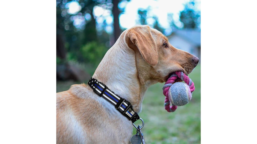 Thin Blue Line Stars &amp; Stripes Collar, Thin Blue Line - TBL-AM-CR-SMALL