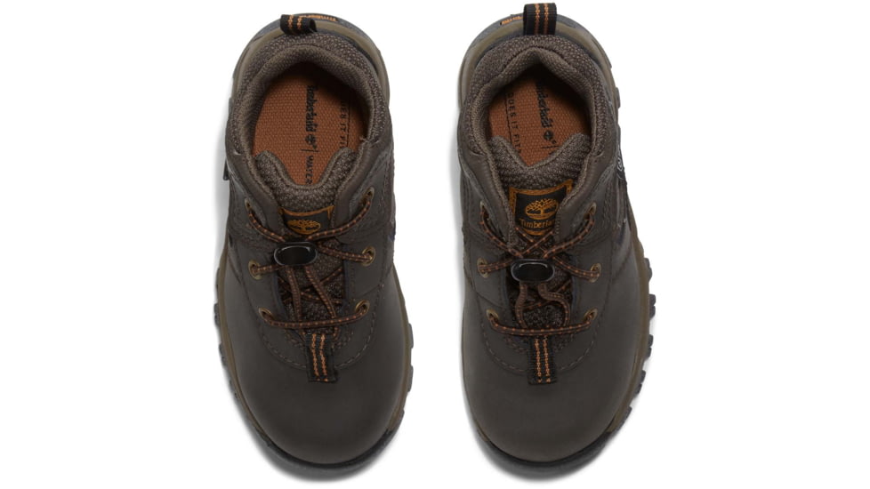 Timberland Mt. Maddsen Boot - Mens, Dark Brown, 10.5, Medium, TB1A14IX24210500M