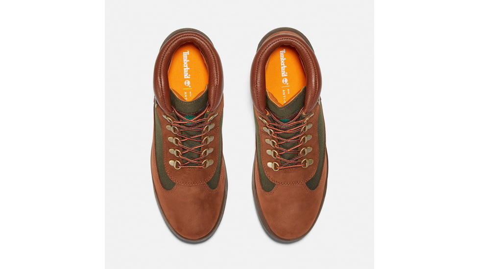 Timberland Field Mid Waterproof - Mens