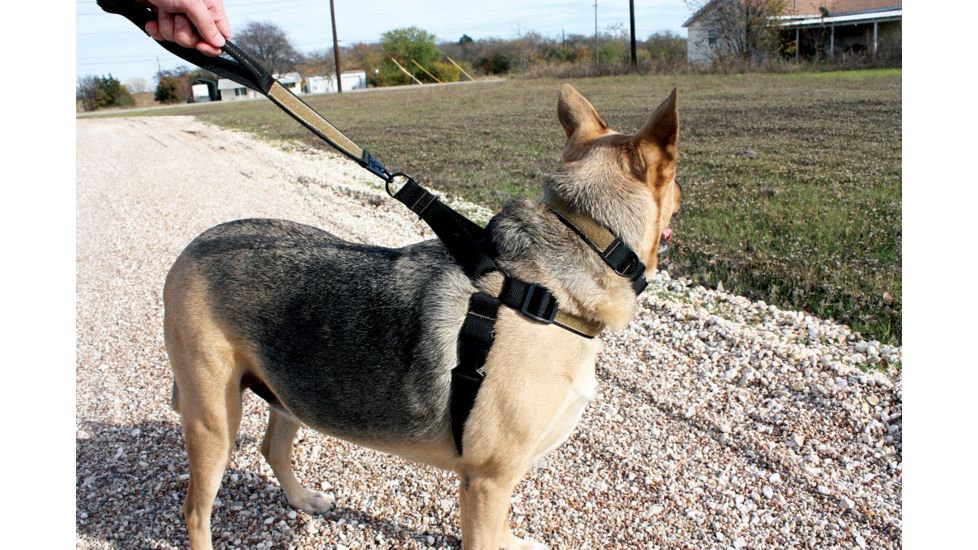 United States Tactical Dog Harness, Black, Medium UST-K9H00101M