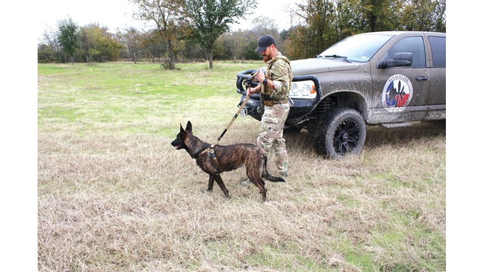 United States Tactical Dog Harness, Coyote, Medium UST-K9H00102M