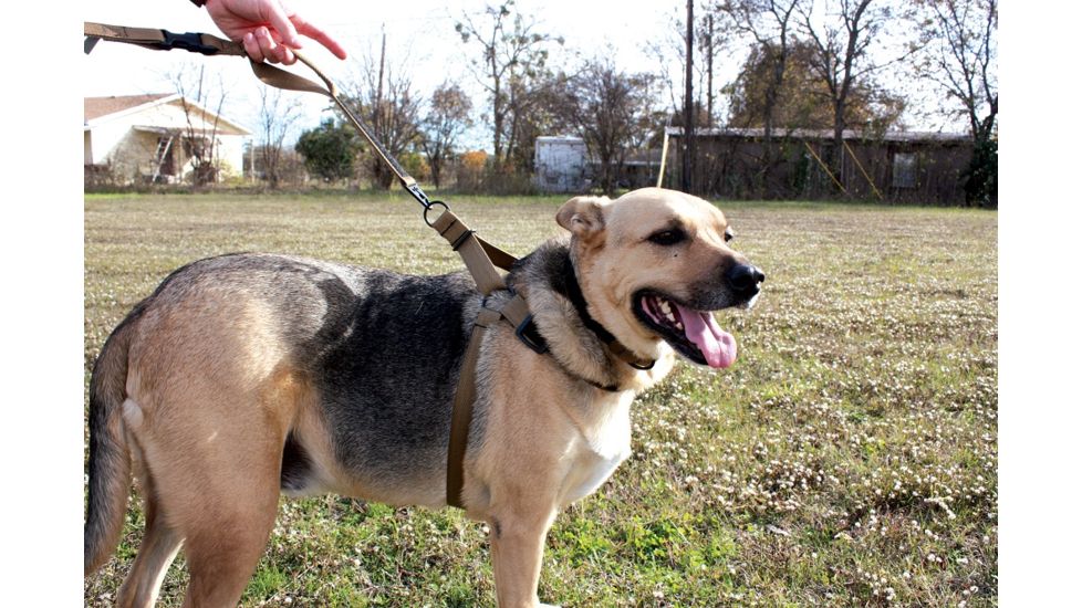 United States Tactical K9 Harness, Coyote, Medium, UST-K9H00102M