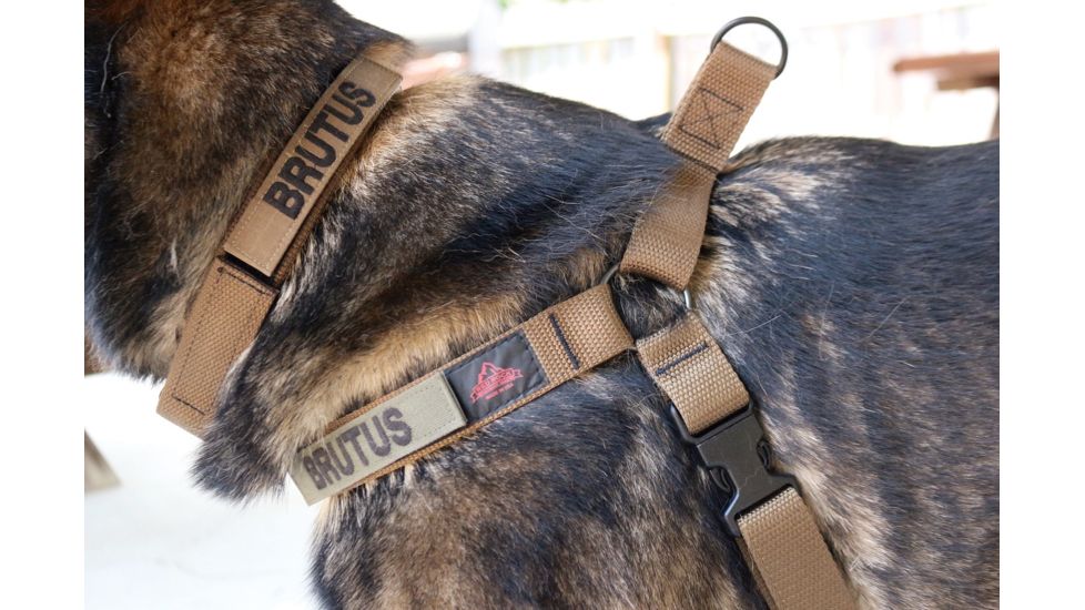 United States Tactical Dog Harness, Coyote, Medium UST-K9H00102M