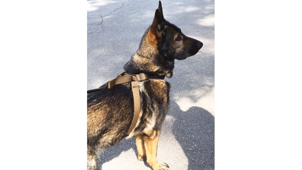 United States Tactical Dog Harness, Coyote, Medium UST-K9H00102M