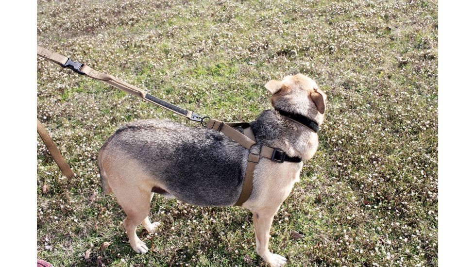 United States Tactical Dog Harness, Coyote, Medium UST-K9H00102M