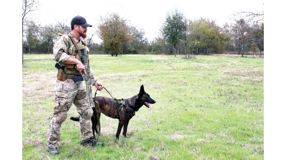 United States Tactical Dog Harness, Olive Drab, Medium UST-K9H00103M