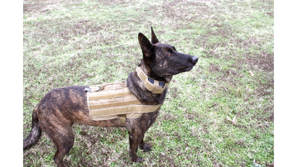 United States Tactical Dog Receiver Collar, Coyote, Medium UST-K9C00202M