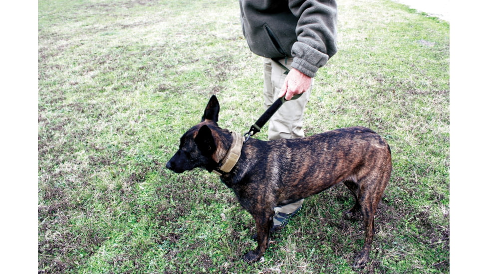 United States Tactical Dog Receiver Collar, Coyote, Medium UST-K9C00202M