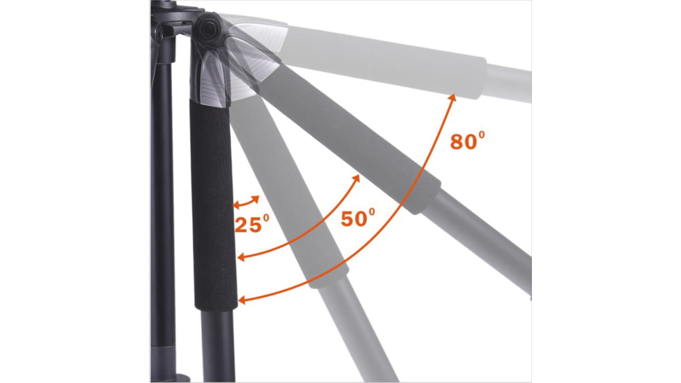 Vanguard Alta+ 254CP Carbon Fiber Tripod with Panhead