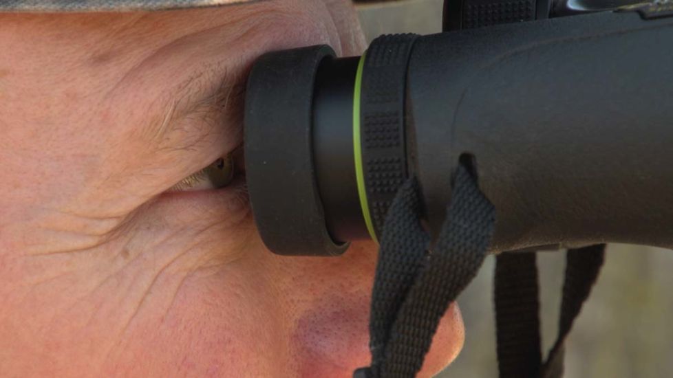 Vanguard Endeavor ED II 10x42 mm Binoculars, Roof Prism, Black, Endeavor ED II 1042