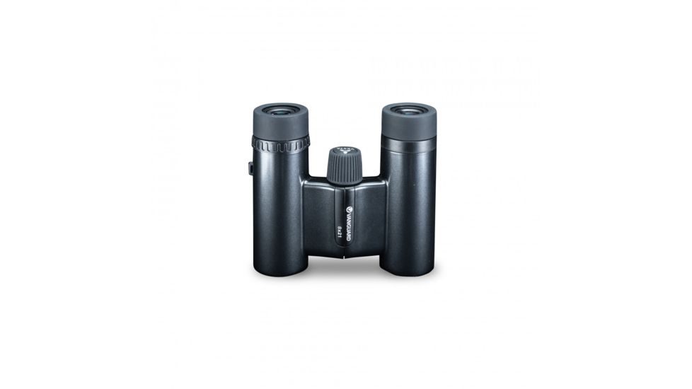 Vanguard Vesta 8x21mm Roof Prism Compact Binocular, Black Pearl Vesta 8210 BP