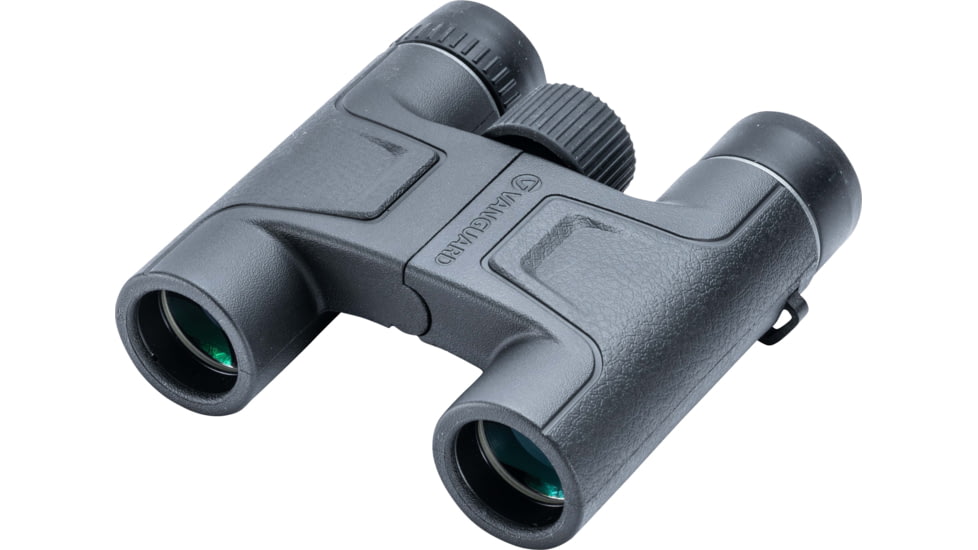 Vanguard Vesta Binocular, 8x25mm, Roof System, BAK4 Prism, Black, Vesta 8250
