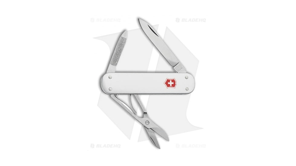 Victorinox Swiss Army Knife Money Clip Folding Knives, Gray Handle, Steel/Gray, One Size, BHQ-2863