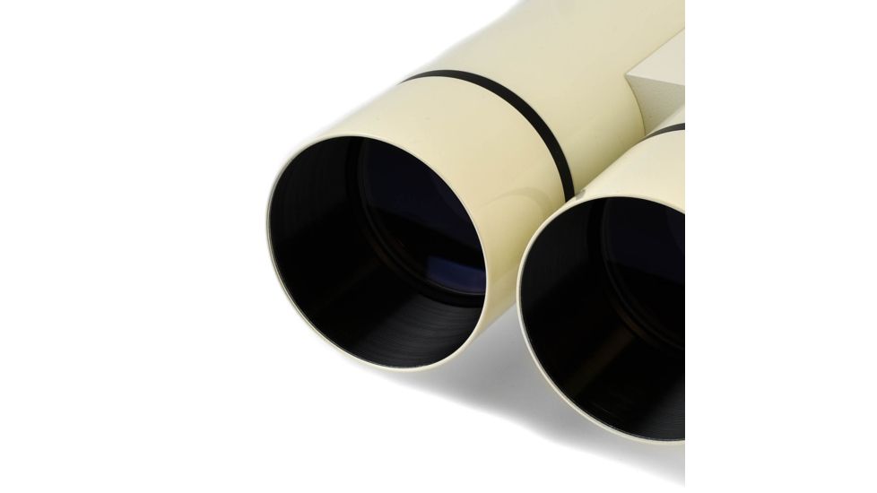 Vixen BT81S-A Binocular Telescope 14304