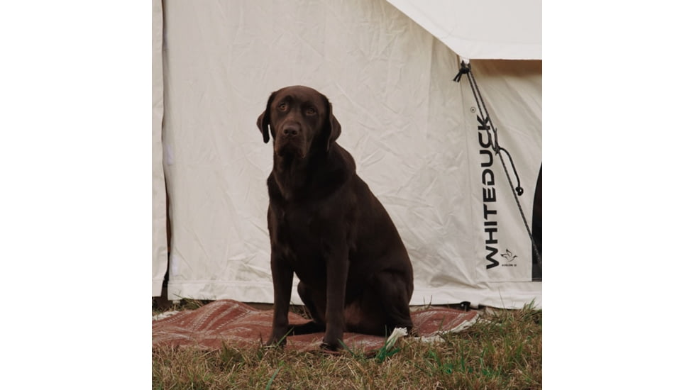 White Duck Avalon Bell Tent, Water Repellent, 16.5ft, WD-0022