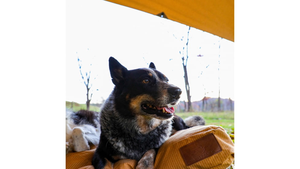 White Duck Sunshade Tarp 330 w/ Poles, 13ft x 13ft/4 x 4 m, SS-4x4-WR