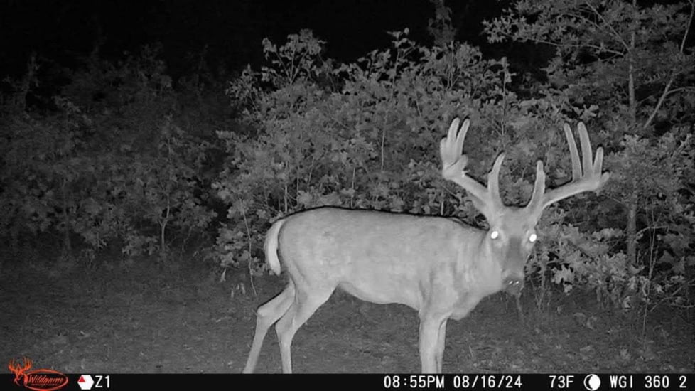 Wildgame Orbit 360 Cellular Camera 36MP, 1410206