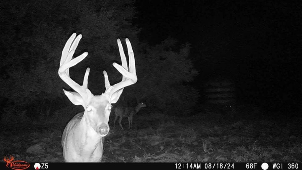 Wildgame Orbit 360 Cellular Camera 36MP, 1410206