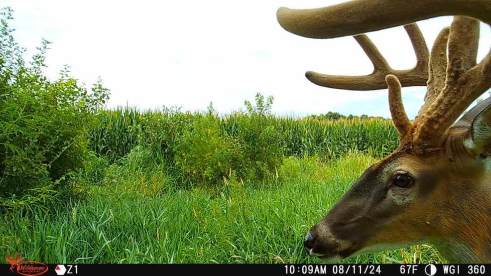 Wildgame Orbit 360 Cellular Camera 36MP, 1410206