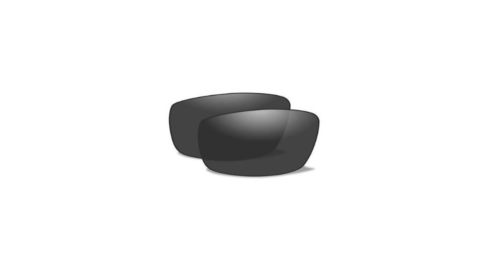 Wiley X Hudson Replacement Lens,Smoke Grey ACHUDS