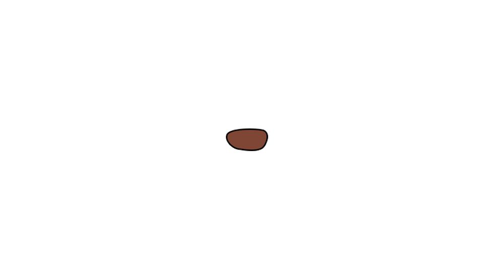 Wiley X Airrage Sunglasses Extra Replacement Lenses - Bronze Flash 695BF