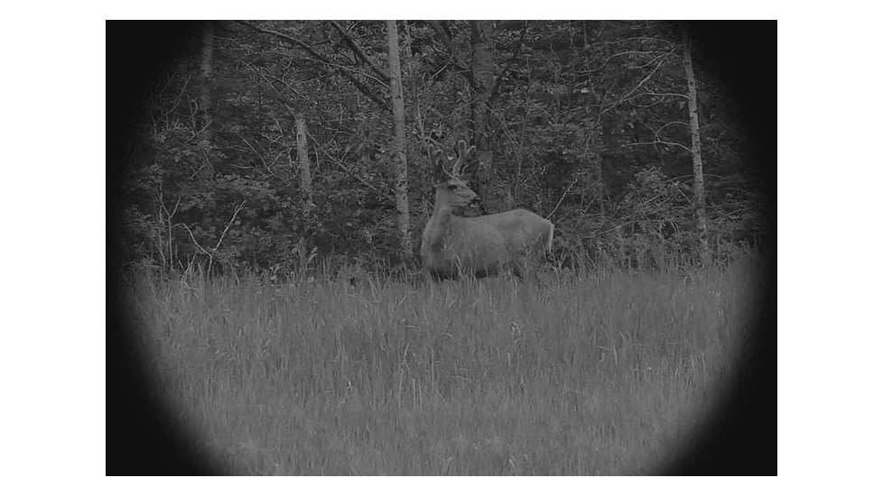 X-Vision Sniper Digital Nightvision Pro, XANB20