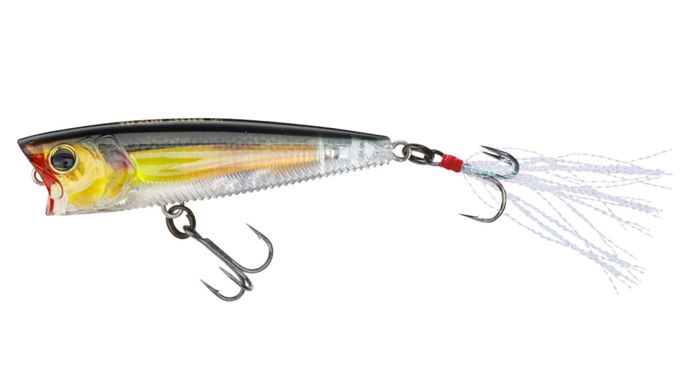 Yo-Zuri 3DB Popper Lure, 75mm, Real Golder Shiner, R1101 RGSN