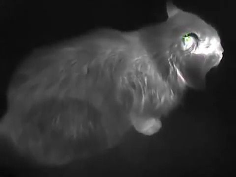 opplanet agm asp tm35 video