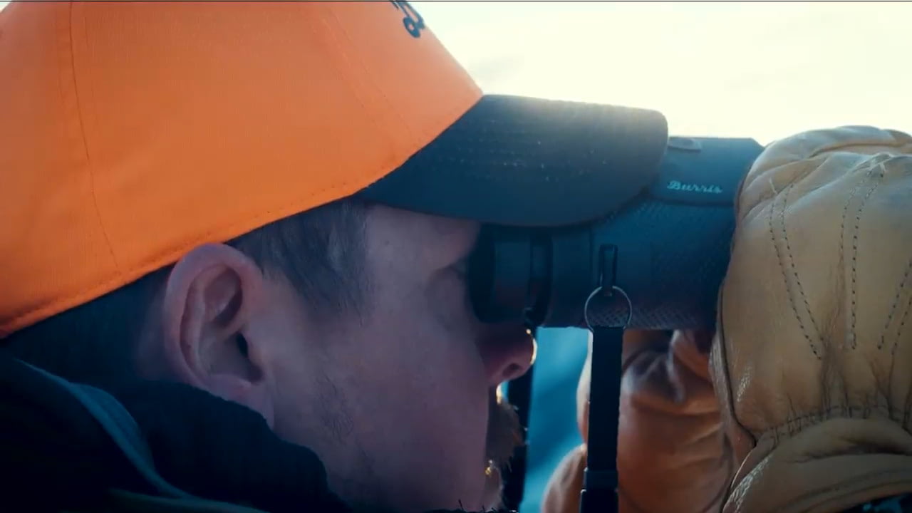 opplanet burris signature 10x42 lrf binoculars video