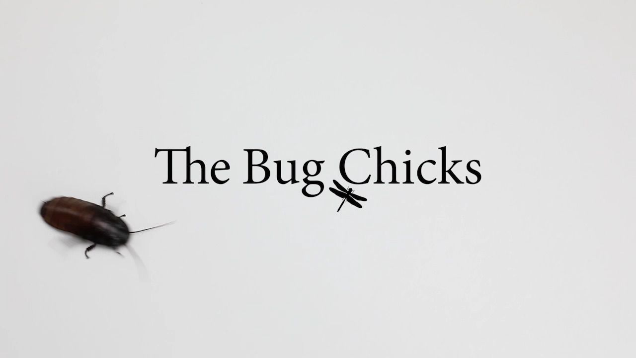 opplanet celestron microdirect thebugchicks video