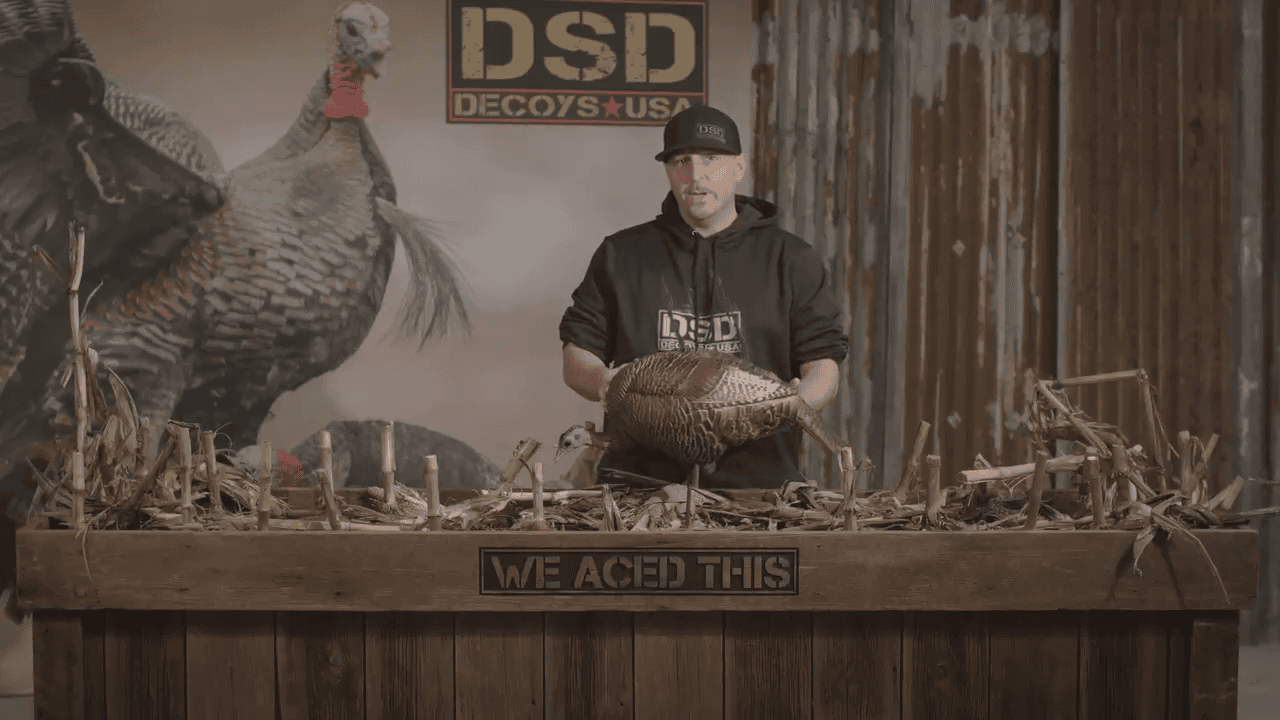 opplanet dave smith decoys feeding hen decoy video