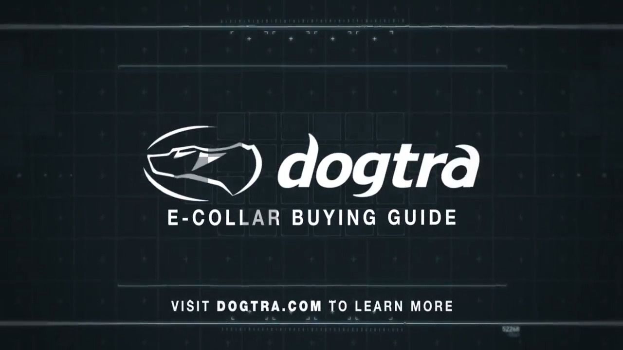 opplanet dogtra e collar buying guide video