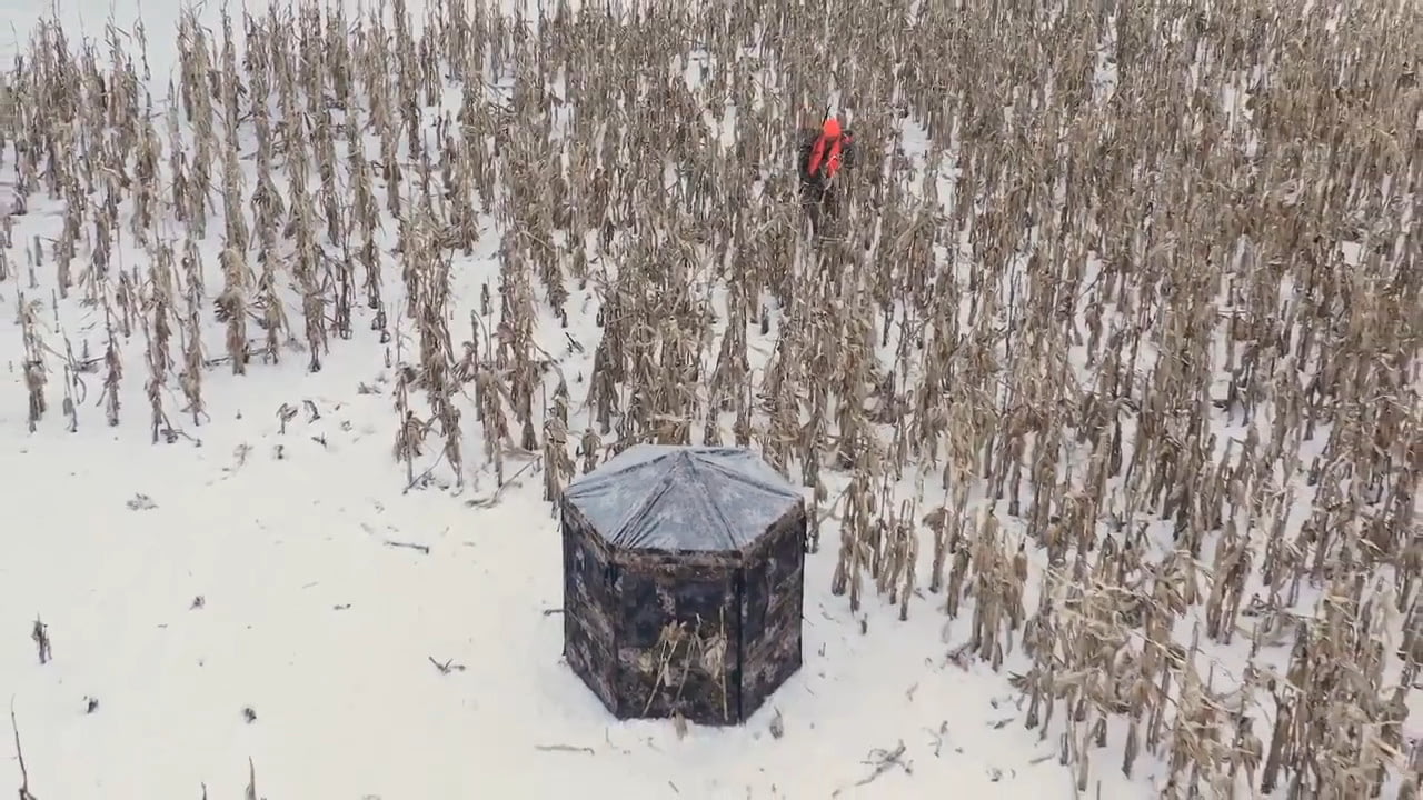 opplanet hawk down and out warrior blind video