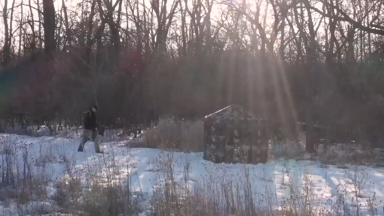 opplanet hawk octagon down and out blind video