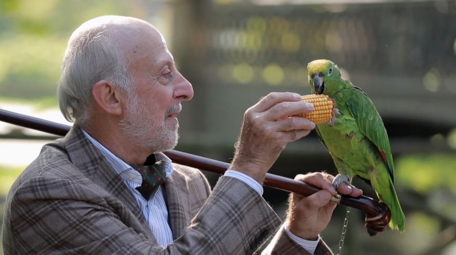 opplanet manfrotto klyp plus flv