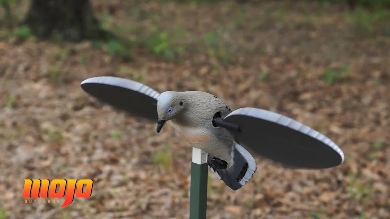 opplanet mojo voodoo dove video