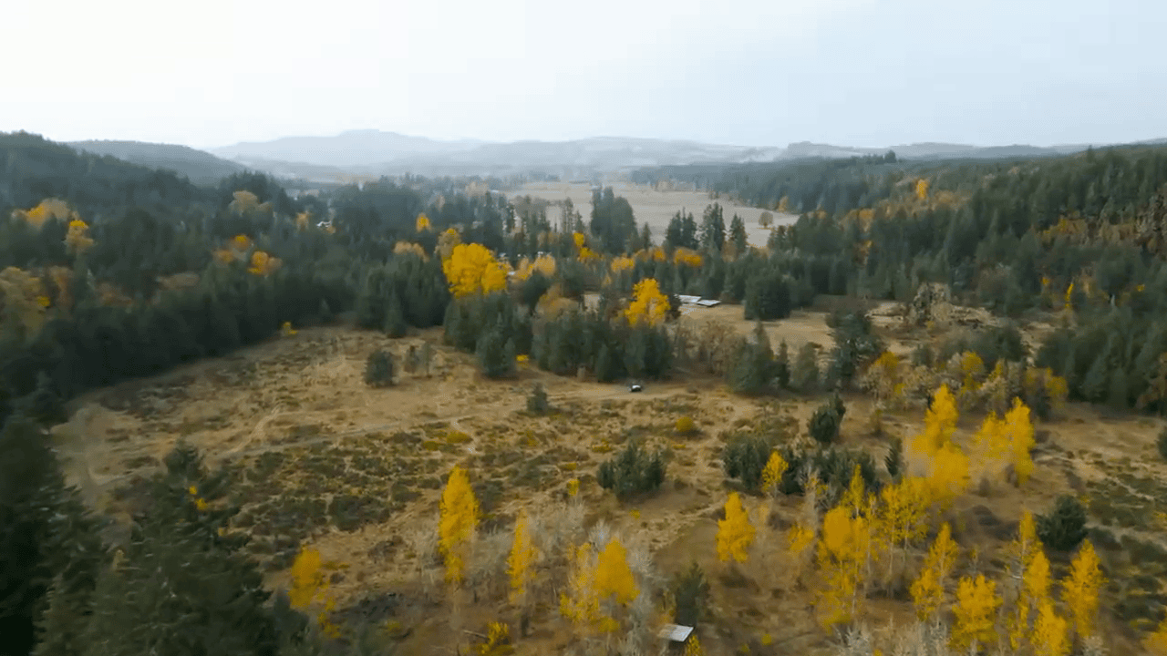 opplanet ravin lr video