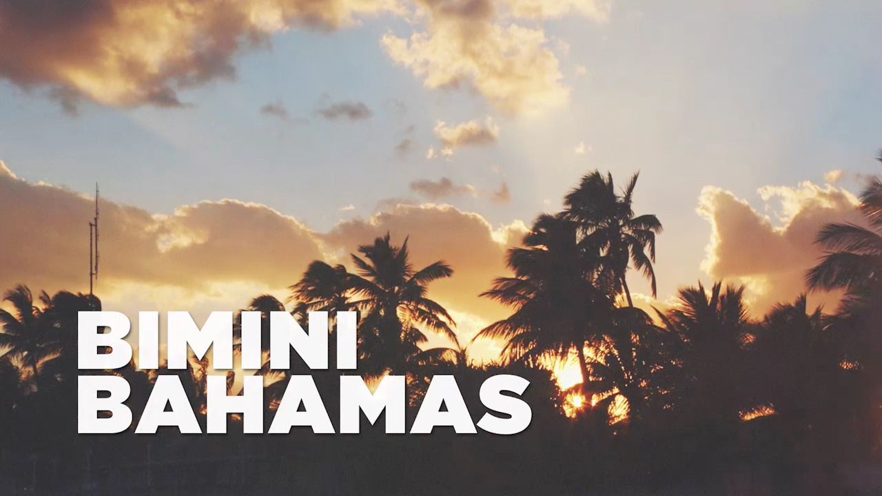 opplanet sea dragon lights bimini video