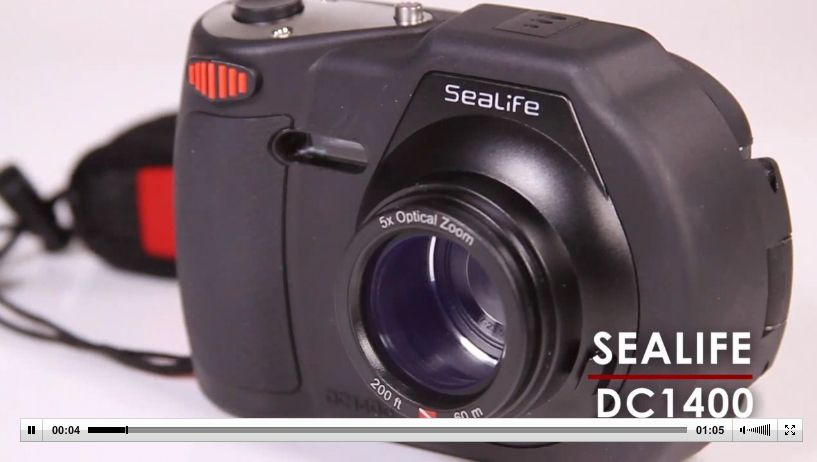 opplanet sealife dc1400 flv