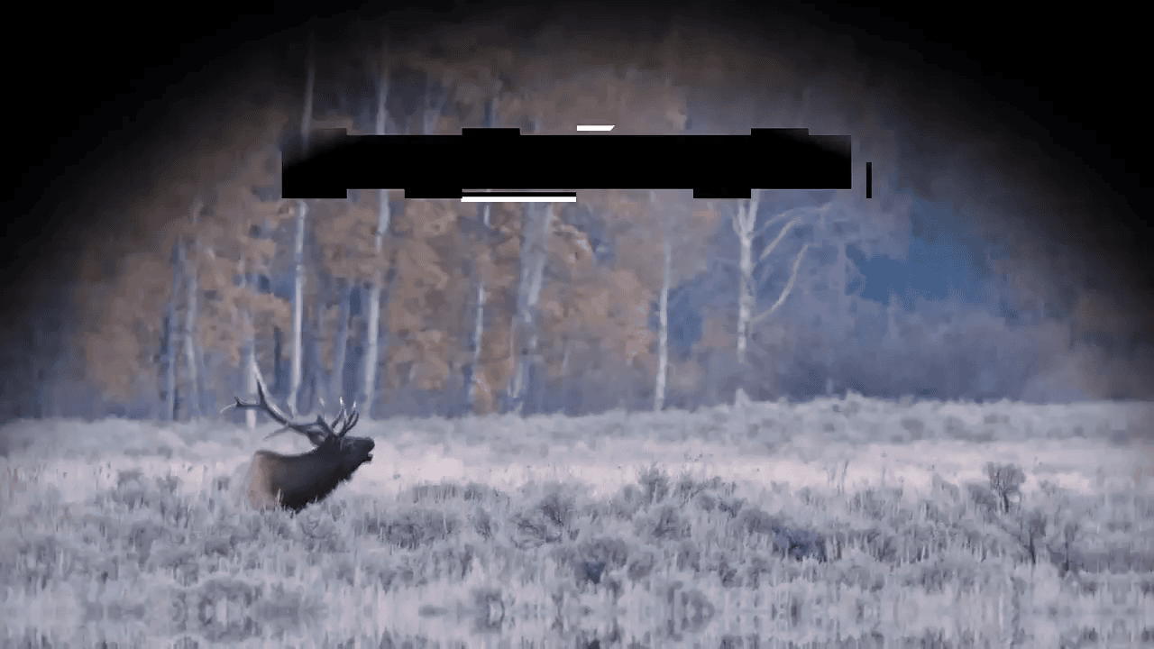 opplanet sig sauer zulu6 hdx pro binocular video
